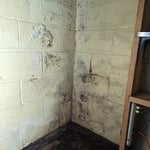Mold Testing & Remediation Project