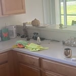 Before and After Cleaning Pics