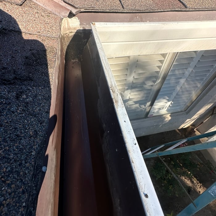 Gutter cleaning