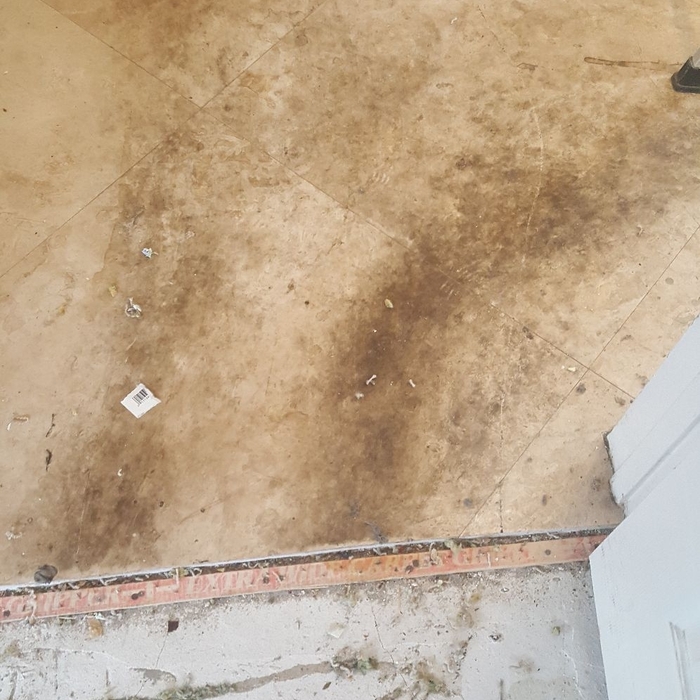 Additional Photos