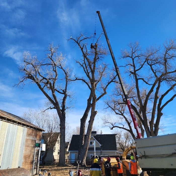 Additional Photos
