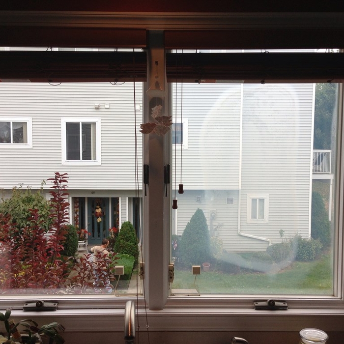 Fogged Thermopane