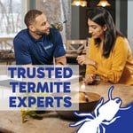 Drywood Termites