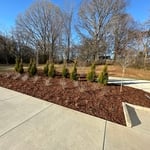 Landscaping Project