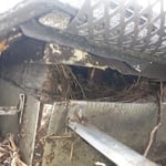 Rodent hole on corner of roof