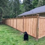 Fencing Project
