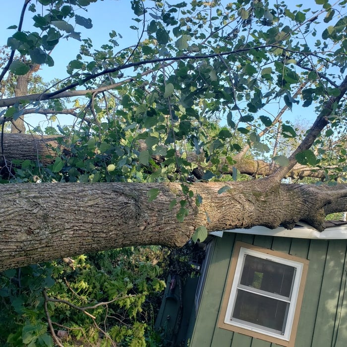 Additional Photos