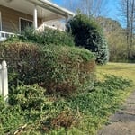 Lawn care/installs