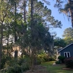 Tree Service Project