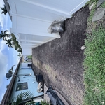 Landscaping Project