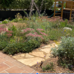California native habitat garden with flagstone path