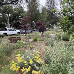 Landscaping Project
