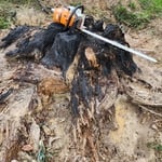 The stump is so big even my stihl 661 magnum looked small compared to it...But there's not a stump we can't grind...Big or small we grind em all!!!