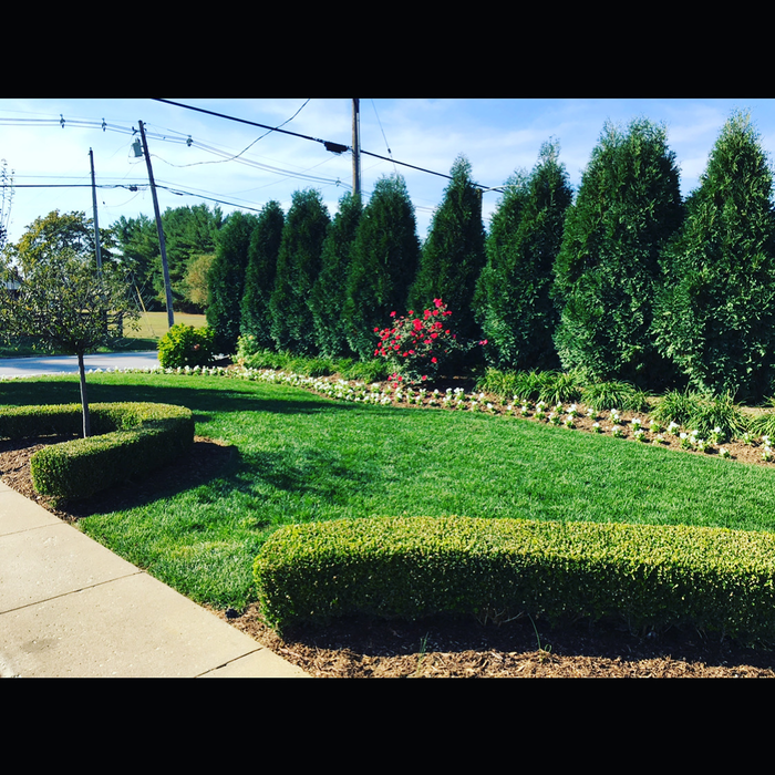 Additional Photos