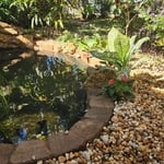 Landscaping Project