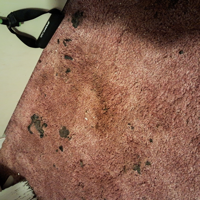 Carpet cleaning