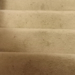 Pre move in house cleaning and carpet cleaning