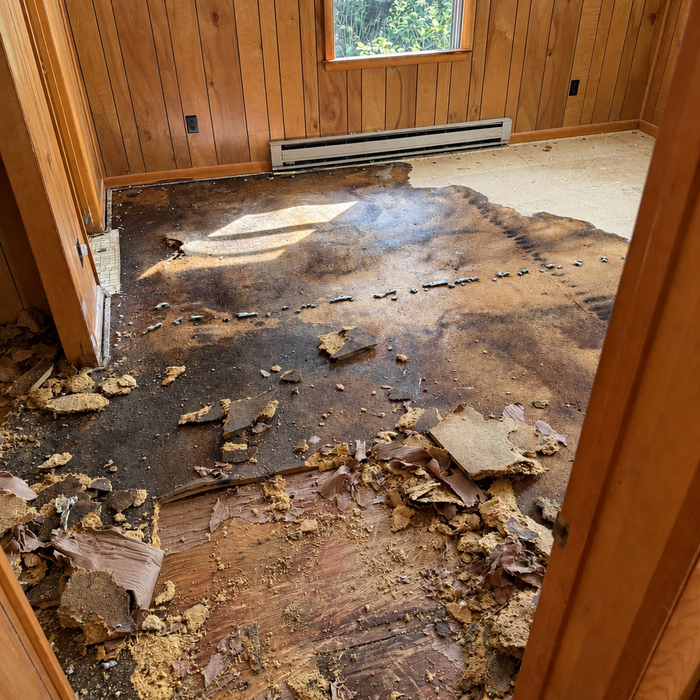 Floor Damage Before