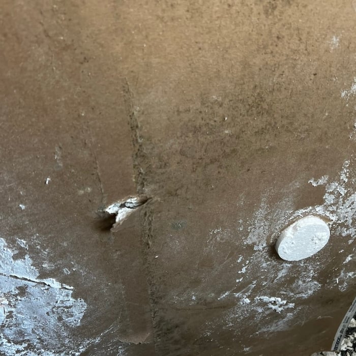 Mold growth on the backside of the drywall