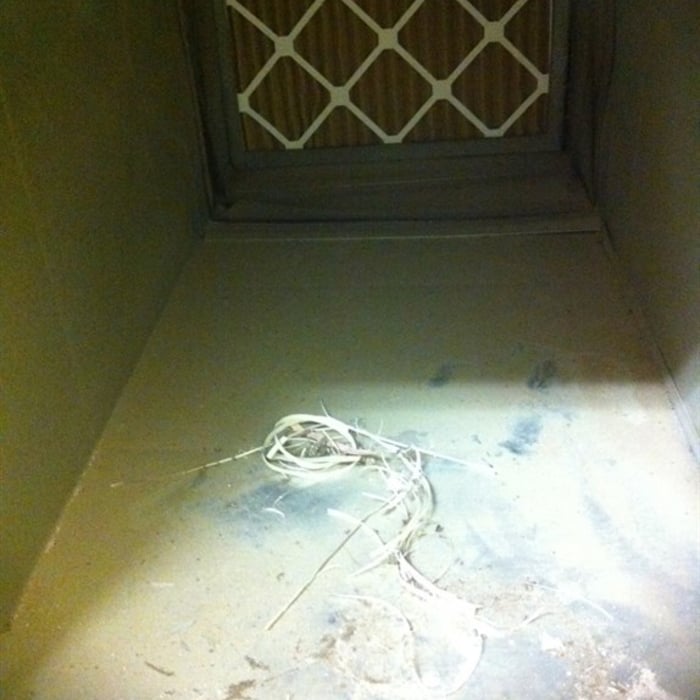Before