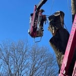 Spider lift in action