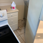 Remove appliances to clean