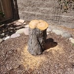 Tree Service Project