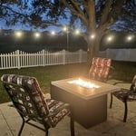 Enjoying their new back yard.