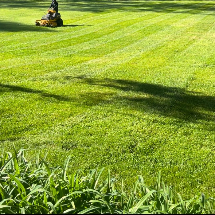 Lawn care services