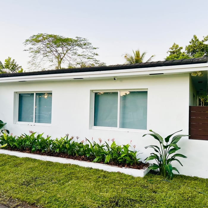 Tropical Plant Installations