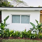 Tropical Plant Installations