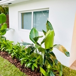 Tropical Plant Installations