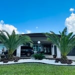 Canary Palm & Sod Installation