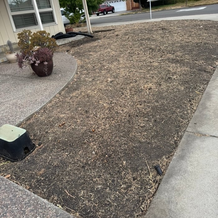 Grass placement