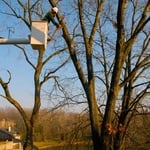 The Michigan Property Network