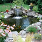 Pond w/Waterfall