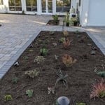Planting