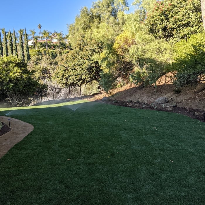 Sod Installation