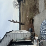 Tree Service Project