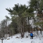 Tree Service Project