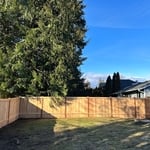 Before picture of the fence