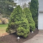 Mulch flower beds