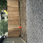 Cedar Fence