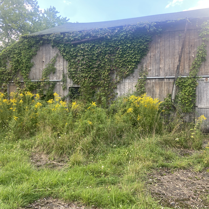 Additional Photos
