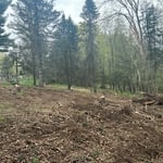 Small residential land clearing