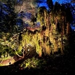 Rear entrance parking and garden