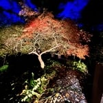 Rear entrance parking and garden