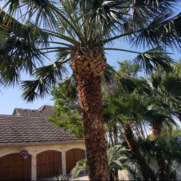 Additional Photos