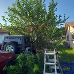 Landscaping Project