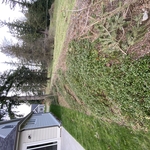 Landscaping; Mulch rejuvenation